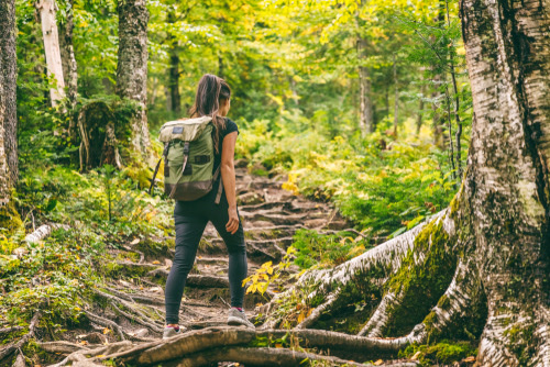 Woman hiking in forest