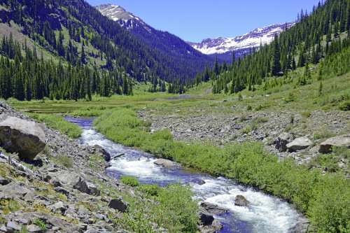 Mountain stream in the Colorado Rockies