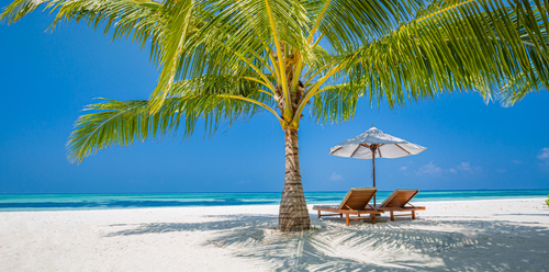 Beach lounge chairs with an umbrella, under a palm tree on a white sand beach next to the ocean.