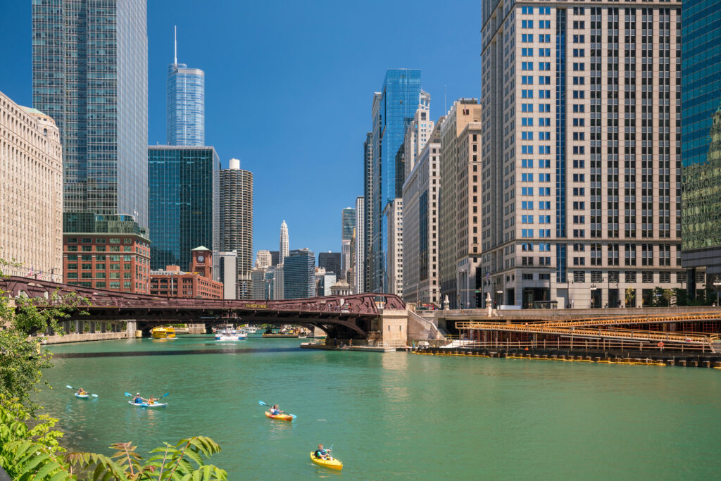 Kayakers on the Chicago River, flanked by skyscrapers.