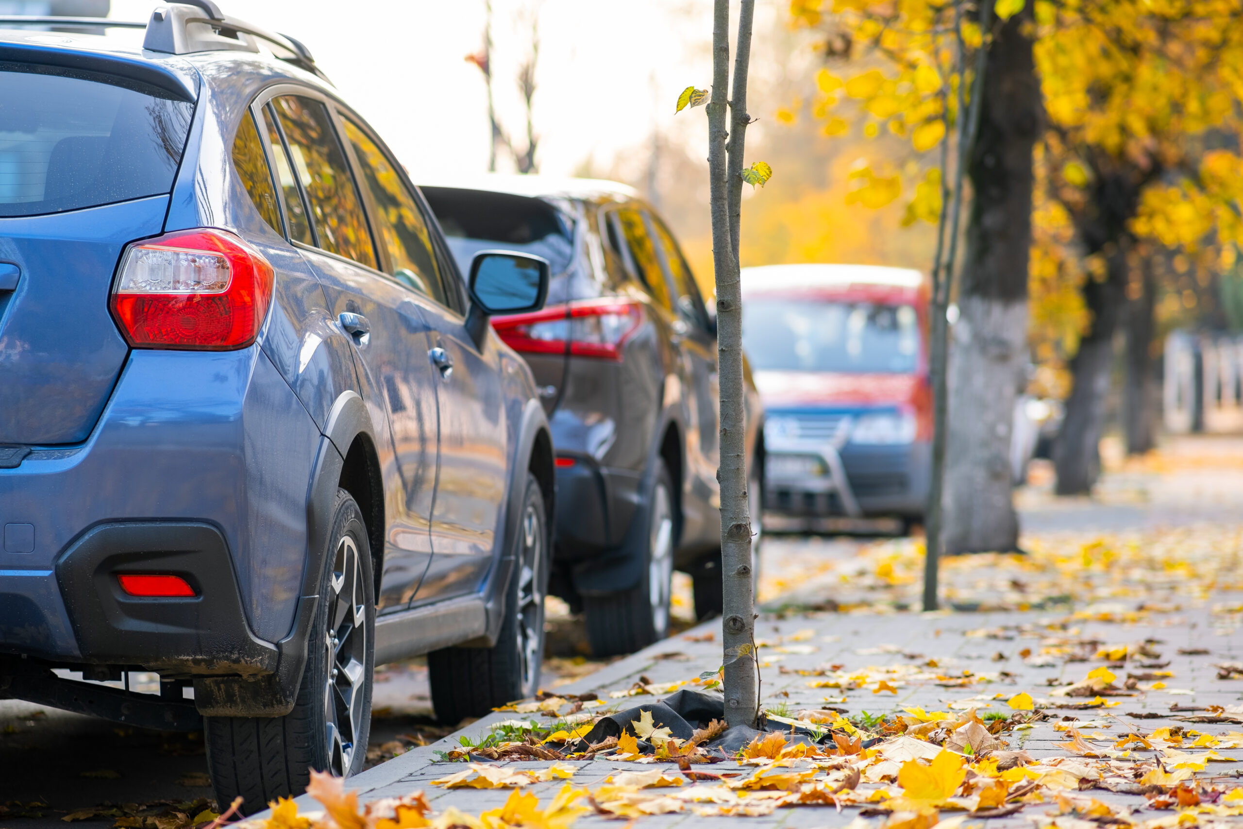 Cars parked in a row on a city street side on bright autumn day.