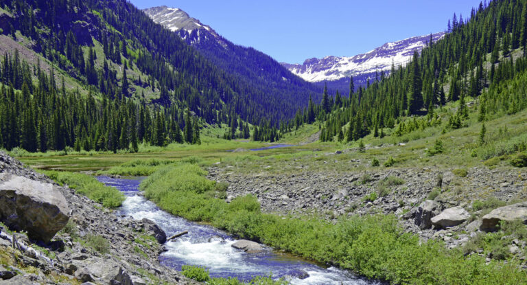 Mountain stream in the Elk Range, Colorado Rockies