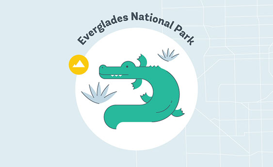everglades national park graphic