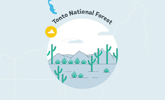 tonto national forest graphic
