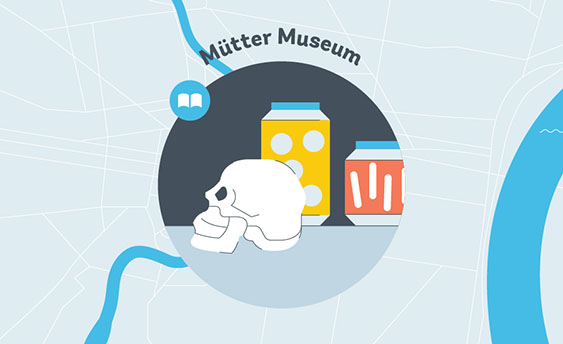 mutter museum graphic