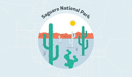 saguaro national park 