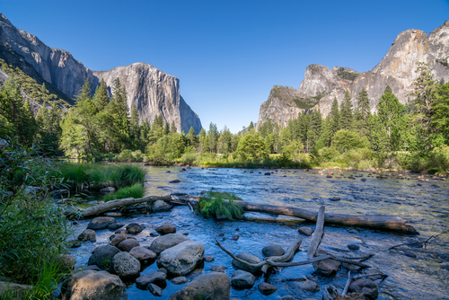 river in Yosemite national park 