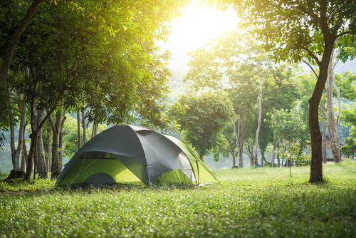 A gray and light green tent is pitched in the middle of a green field surrounded by trees.