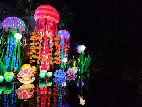 Festival of lights at Miami Jungle Island