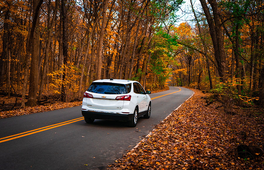 white car driving in fall foliage