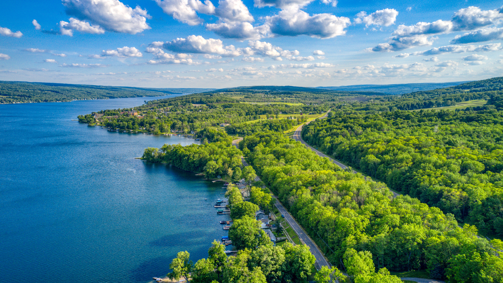 Aerial view of Keuka Lake, with lush greenery to the right.