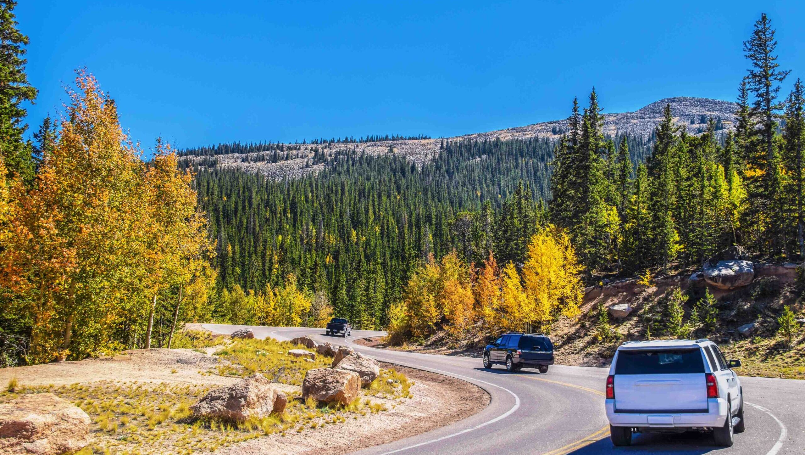 SUVs and pickup truck take sharp turns down mountainside with evergreens and Autumn aspens and bare peaks in background on sunny day.