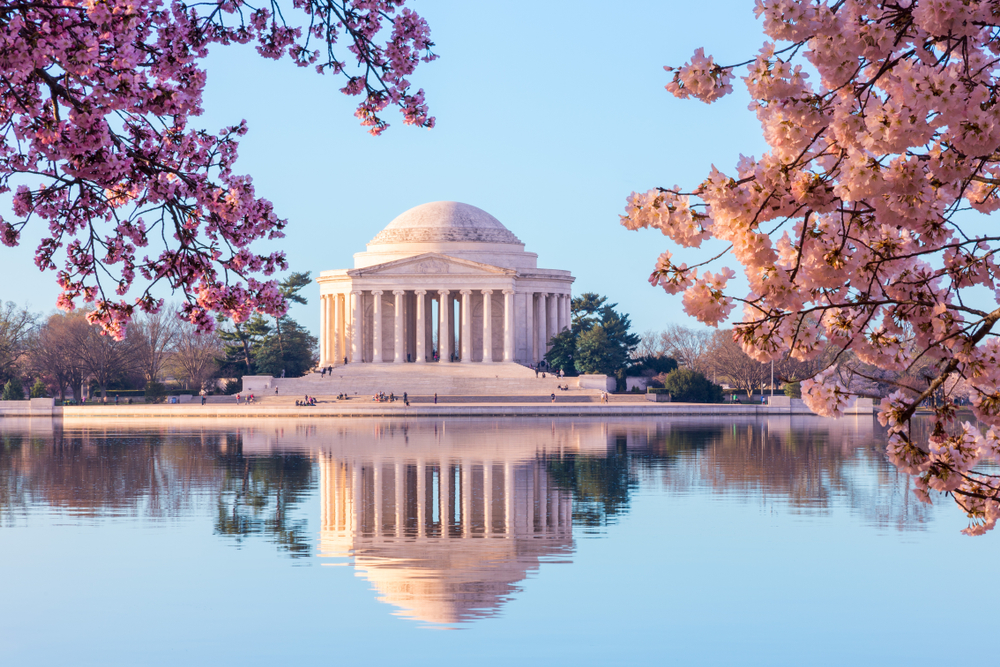 View of the Thomas Jefferson Memorial from across the Tidal Basin in Washington, DC, with pink cherry blossom branches on either side.