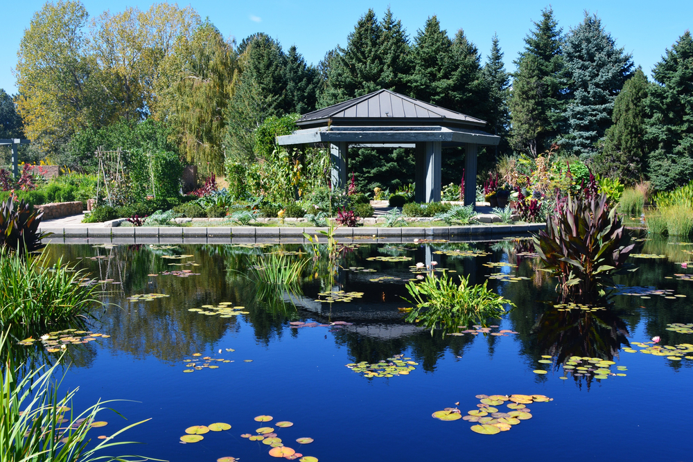 View of a gazebo from across a pond with lily pads floating on the water and trees in the background
