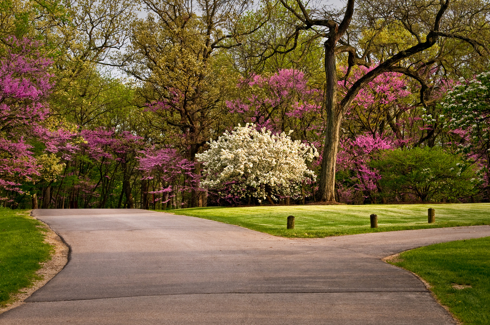 The colors of spring create a scenic drive through the grounds of The Morton Arboretum in Lisle, Illinois.
