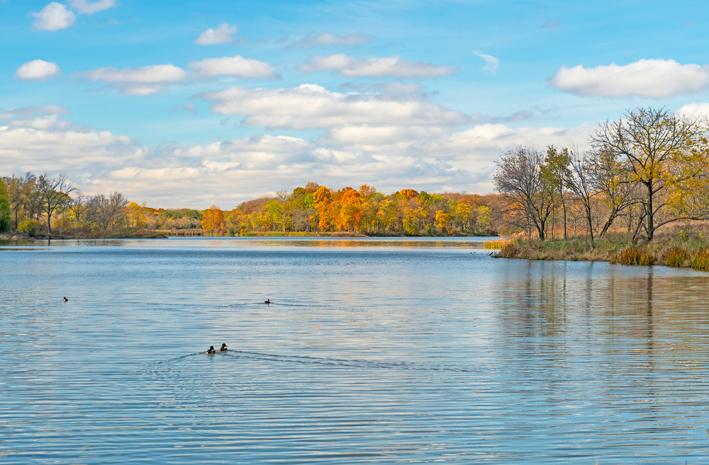 Serene Lake in the Autumn in Illinois
