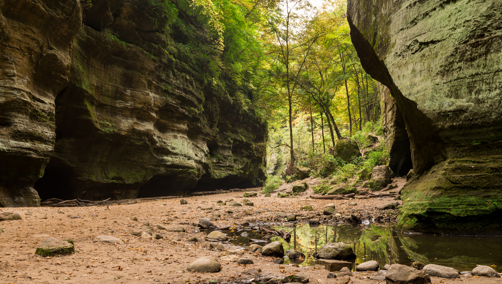 Late summer/early fall morning in the lower dells, Matthiessen state park.